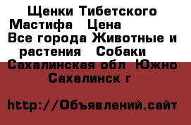 Щенки Тибетского Мастифа › Цена ­ 90 000 - Все города Животные и растения » Собаки   . Сахалинская обл.,Южно-Сахалинск г.